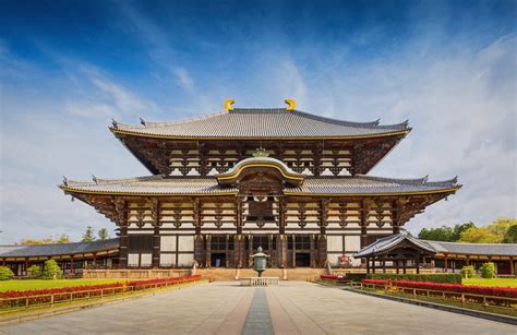 Il Parco del Nara Todai-ji: un viaggio nel cuore della storia buddhista e la bellezza delle creature di Nara!