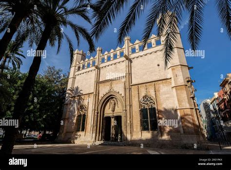 Il Palacio de la Lonja: Un capolavoro gotico che ti lascerà senza fiato!