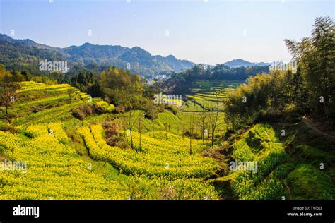 Il Giardino di Lingshan: Un capolavoro spirituale con panorami mozzafiato!