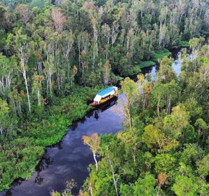  Taman Nasional Tanjung Puting: Una Spettacolare Oasi di Biodiversità nella Foresta Pluviale del Borneo!